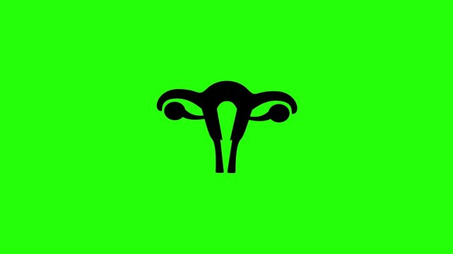 Beautiful 4K motion asset containing a female uterus and ovaries reproductive organ silhouette bouncing cleanly. Clean gynecology maternity clinic graphic.