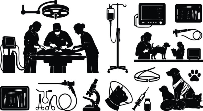 Veterinary Clinic Icons, Animal Care Graphics, Medical Equipment Silhouettes, Pet Surgery & Diagnostics Vector Set
