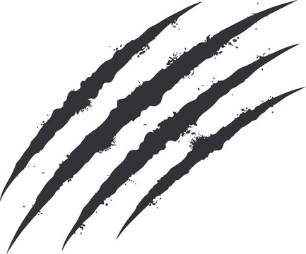 Grunge black claw scratch texture marks