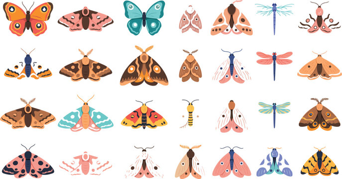 Folk Art Patterned Moth and Dragonfly Vector Graphic Collection with Decorative Winged Insects for Aesthetic Stationary, Wallpaper Patterns, and Creative Scrapbook Crafts
