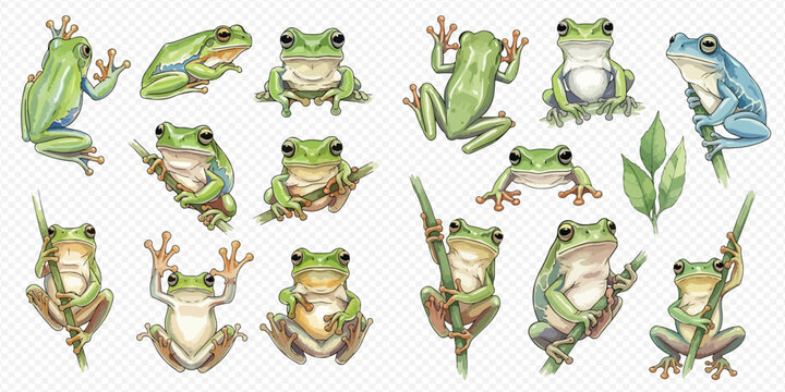 Collection of watercolor tree frogs in various poses, including green and blue frogs, isolated on a transparent background.