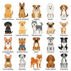 Fototapeta premium Diverse dog breeds collection cartoon style flat design pet icons
