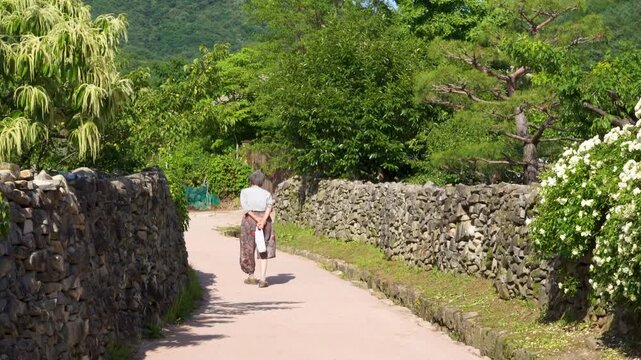a rural grandmother who walks on a stonewall road
