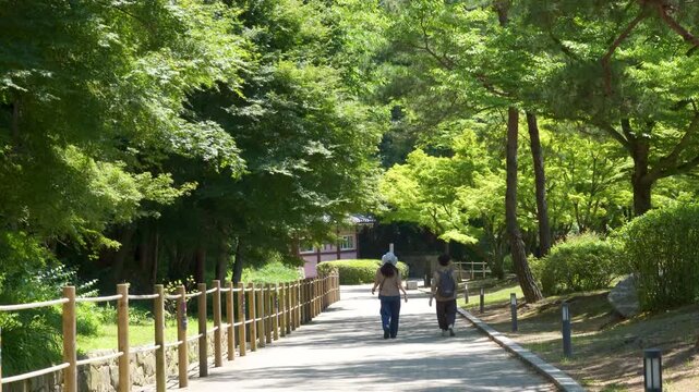walkers in the park