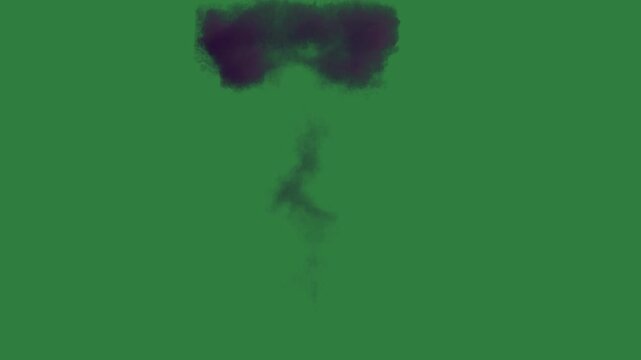 Fire in the middle burns on is burning skull it black dog standing front explosion smoke cloud depth
