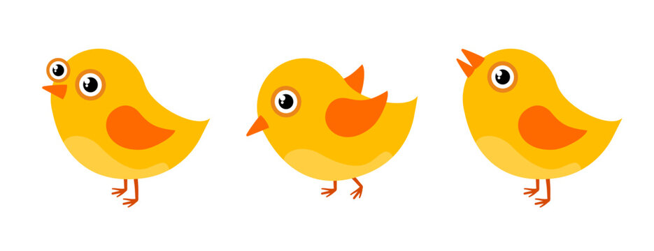Cute yellow baby birds set, cartoon chicks characters. Vector illustration isolated on white background