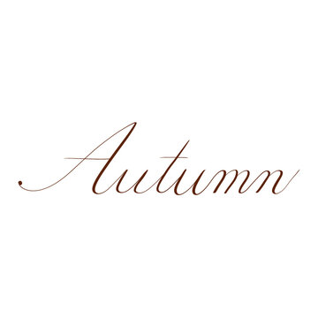 &ldquo;Autumn&rdquo; in copperplate calligraphy. Handwritten. Transparent background.