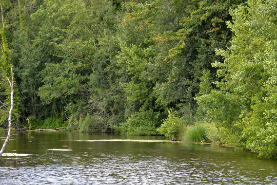 Marais de Misery