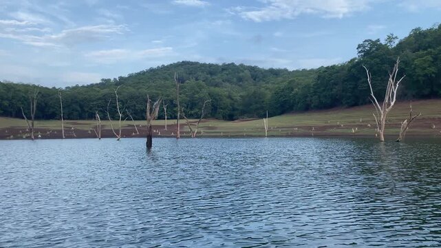 Back water landscape, Bhadra Tiger reserve, India