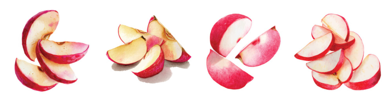 Vector illustration set, My Watercolor illustration, set of apple slices with red skin. Watercolor painting isolated on a white background, an EPS painting design, Hand-painted style, vectorized