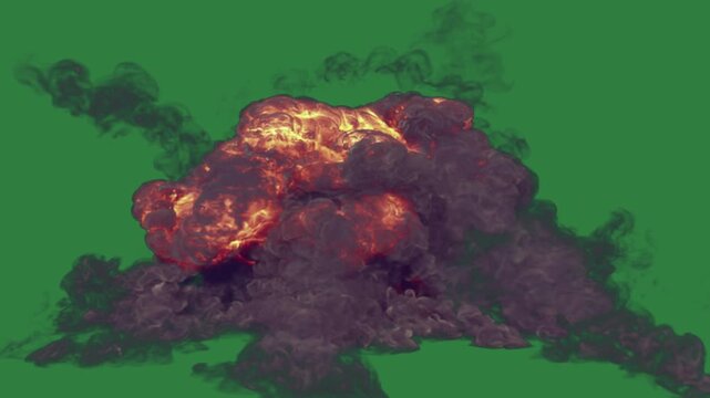 Bird flying in the air fire burns on pile of coal smoke black expression figure backgrounds illustration composition