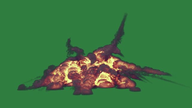 Bird flying in the air fire burns on pile of sky leaf it layers gesture scene creative frame elements composition