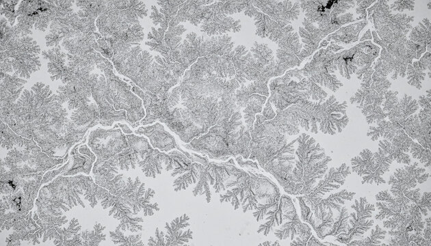Microscopic dried human tear salt crystals fractal landscape texture