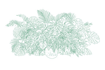 Tropical jungle plant arrangement with monstera and palm leaves © Joyanto