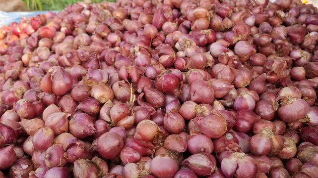 Red onion shallots or bawang merah is commonly used in indonesian culinary