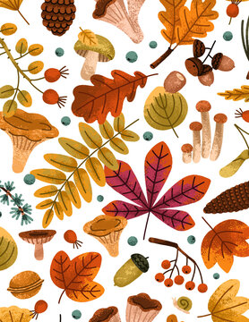 Seamless autumn forest pattern with chanterelle mushrooms, pine cones, acorns, chestnut leaf and berries on white background
