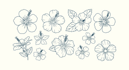 Hibiscus Flower Line Art Collection: Hand Drawn Tropical Floral Vector Illustration Set for Design. © Salma