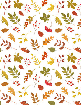 Seamless flat vector autumn botanical pattern with colorful fall leaves, rosehip and rowan berries on white background
