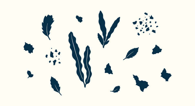 Collection of Various Seaweed and Algae Silhouettes Including Kelp and Wakame for Graphic Design