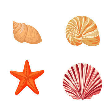 spiral shell, nautilus, bright orange starfish and fan‑shaped shell. A set of ocean marine life, isolated on a background.: Flat vector illustration in a warm palette &mdash; for postcards, textiles, packag
