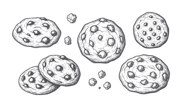 Hand drawn chocolate chip cookies and crumbs food