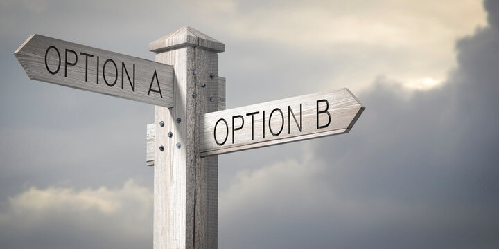 Options A or B - Wooden Signpost with Two Arrows