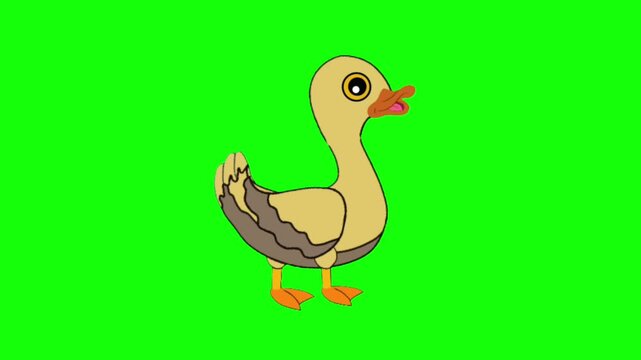 Cute Cartoon Duck Talking Animation Frame with Open Beak Green Screen