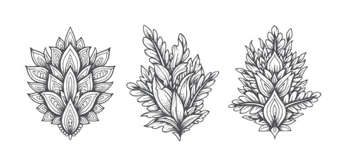 Three ornate botanical floral motifs in dark grey line pattern © Mohammad