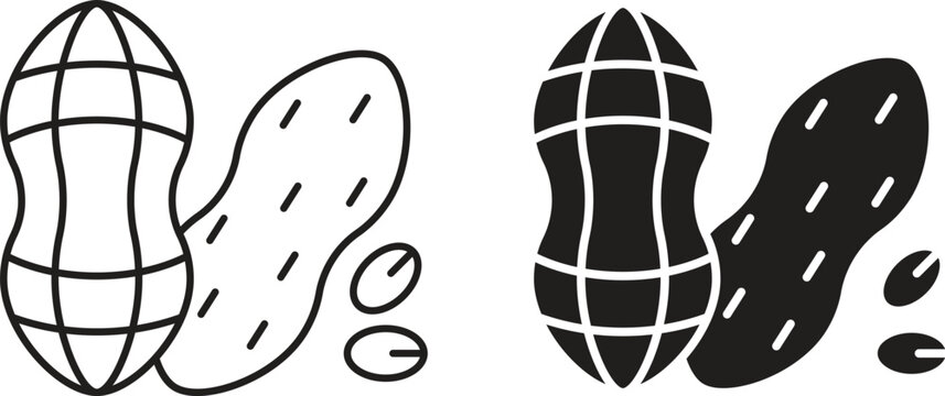 Peanut Icons Set Outline and Glyph Style Groundnut Vector Collection