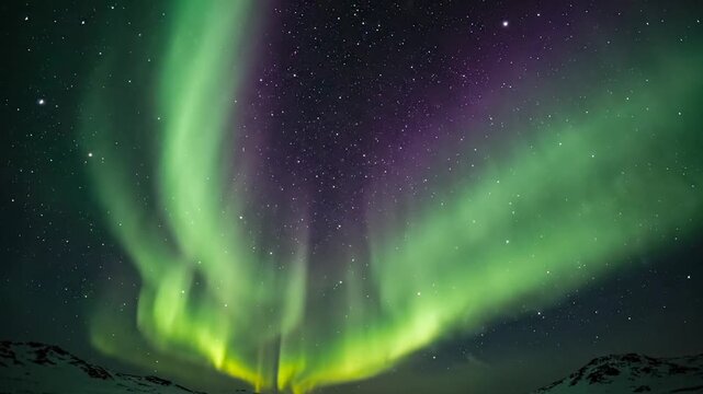 Northern lights aurora borealis glowing green and purple against a starry night sky over snowy mountains