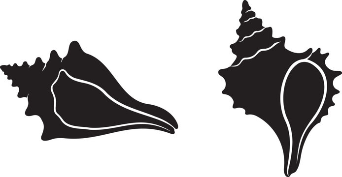 seashell conch icon collection, black ocean shell vector set, marine creature symbol design
