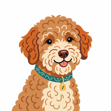 Lagotto romagnolo dog portrait. Curly haired puppy with collar. Flat design vector illustration