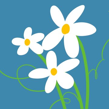 daisy flower