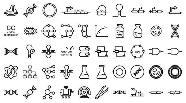 Synthetic biology and genetic engineering icons set featuring dna strands rna sequences protein structures molecular pathways and laboratory equipment in line art style.