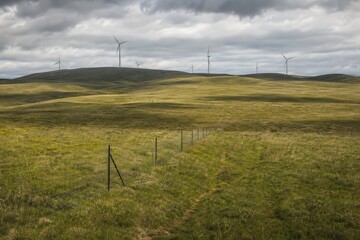 Fototapeta premium Grassland Wind Farm