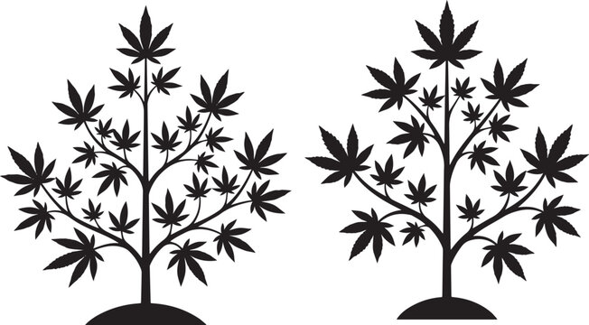 Black silhouette of two cannabis plants on a white background for design