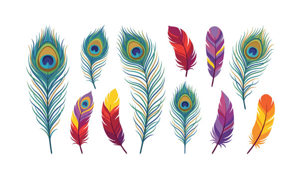 Collection of Colorful Peacock Feathers in Various Shapes.