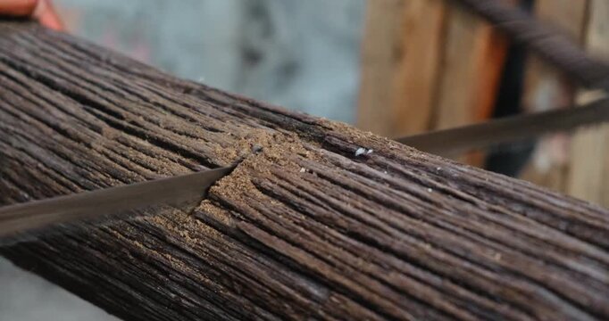 Cutting, saw, wood and log for work, fire and constructing. High quality 4k footage