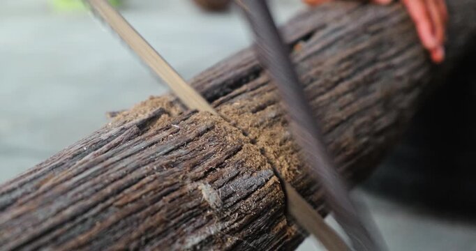 Wood, log and cutting with hand saw for work, fire and constructing. High quality 4k footage