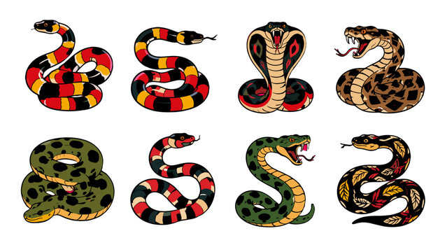 Set of stylized snake illustrations with coiled and hooded poses