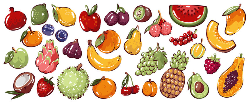 Fruit icon set with apple, banana, watermelon, pineapple, avocado, orange, pear, berries, coconut, papaya and tropical fruits. Colorful food elements with bold outline. Cartoon vector illustration.