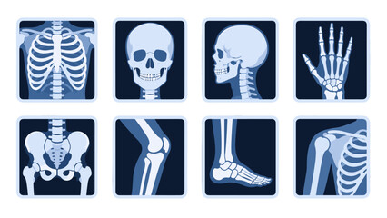 Plakat Set of human skeleton xray icons with skull, hand, pelvis and joints