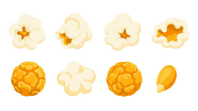Set of popcorn kernels and popped corn vector illustrations