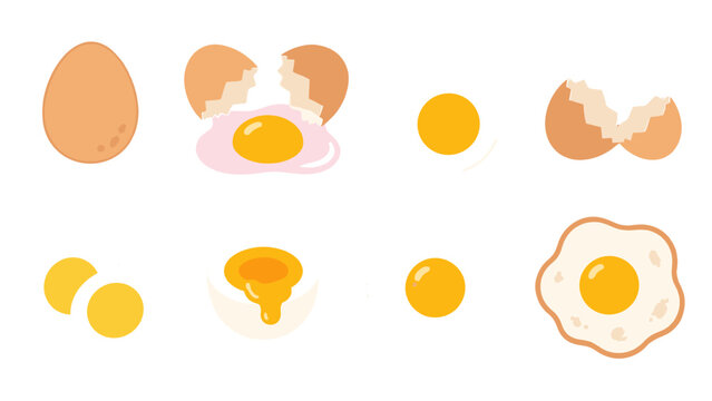 Set of egg illustrations in whole, cracked, boiled, and fried forms