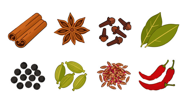 Vector set of whole spices and herbs isolated on white