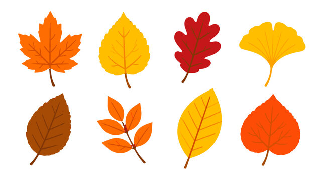 Set of colorful autumn leaves in flat vector style