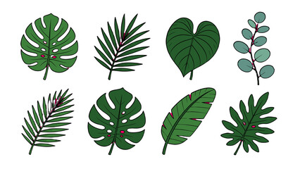 Set of hand drawn tropical leaves isolated on white © Andrei