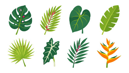 Set of tropical leaves and flowers in hand drawn vector style © Andrei