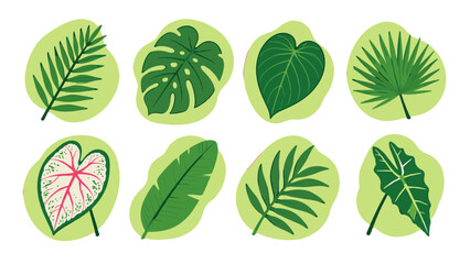 Set of tropical green leaves in flat vector illustration © Andrei