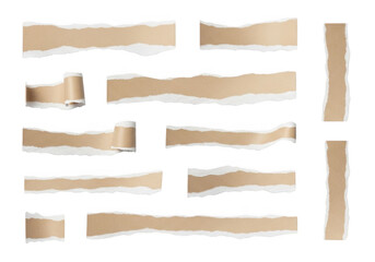 Fototapeta premium Assorted torn paper strips in various sizes and colors isolated on transparent background isolated on transparent background